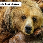 Grizzly Bear Jigsaw